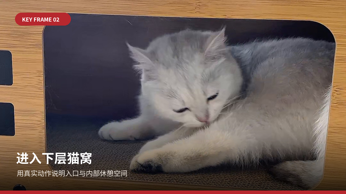 进入下层猫窝