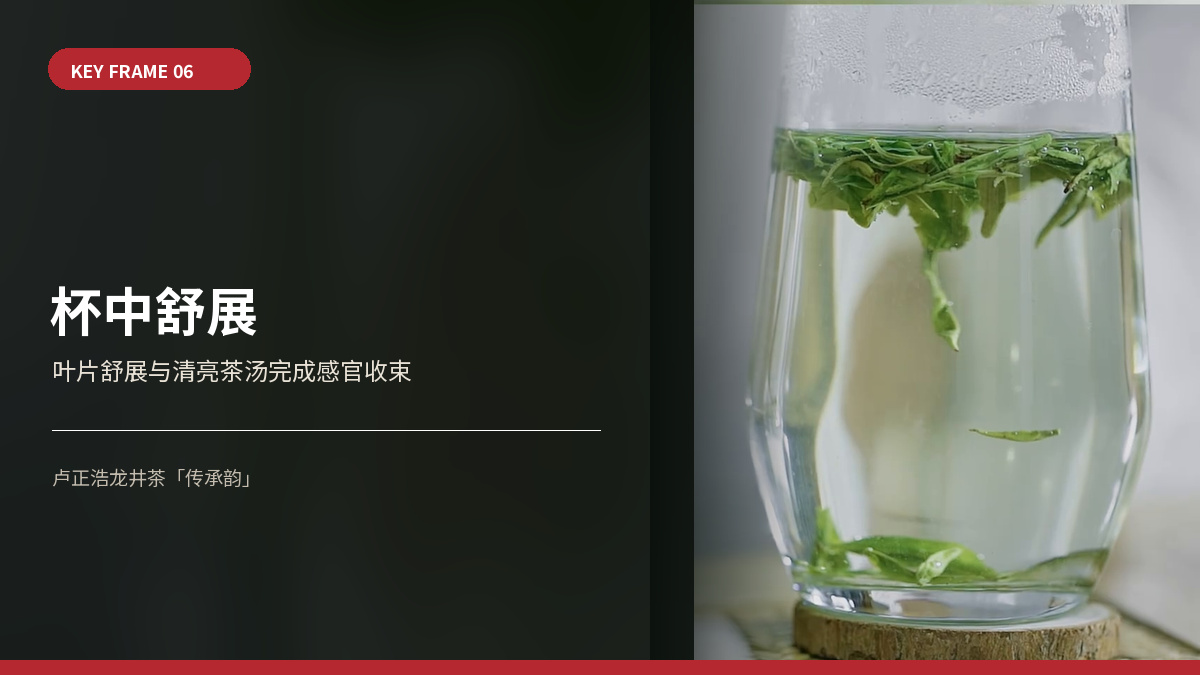 竖版视频展示