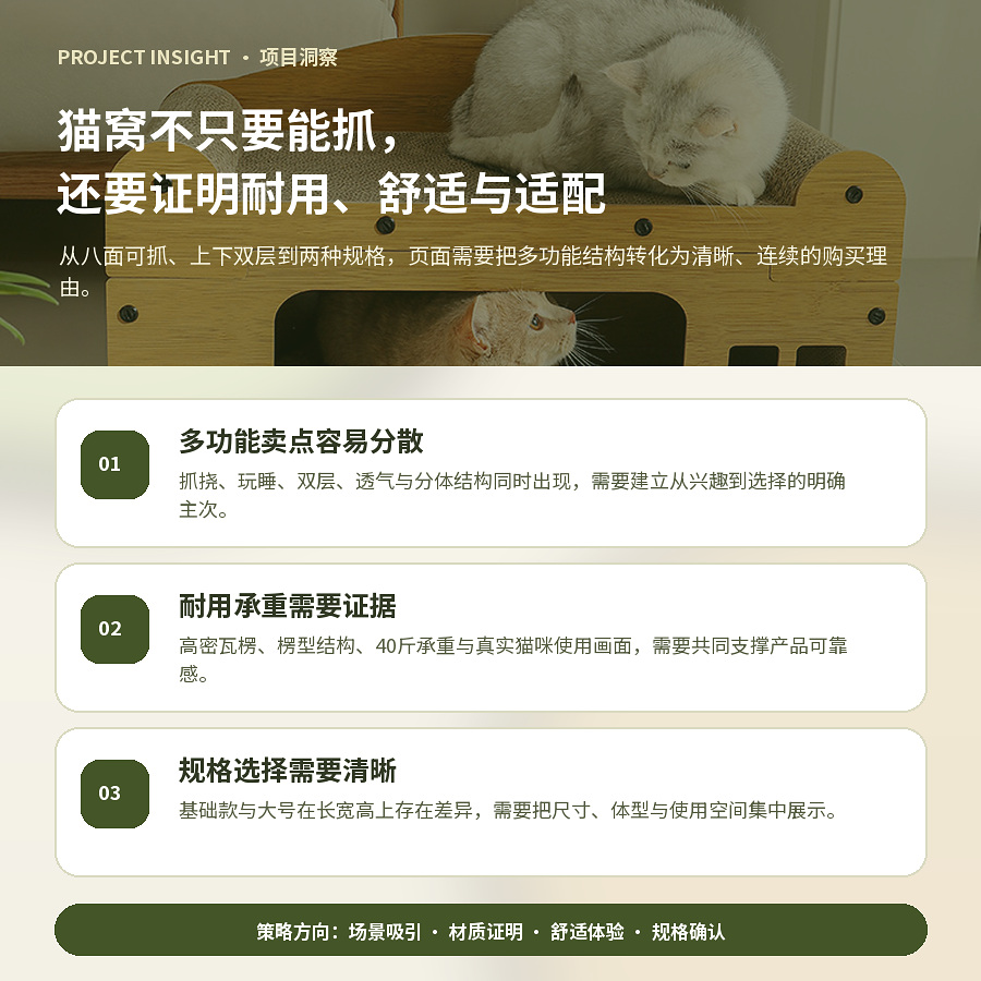 项目洞察